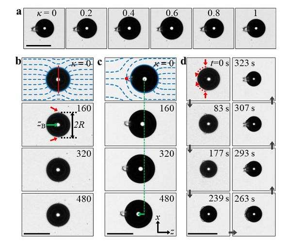 Liquid Crystals Propel Microscopic Movement: A Breakthrough by UNIST Researchers