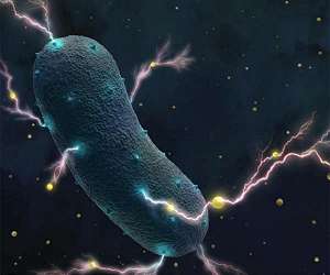 Nanoparticle Gives Antimicrobial Ability To Fight Listeria Longer