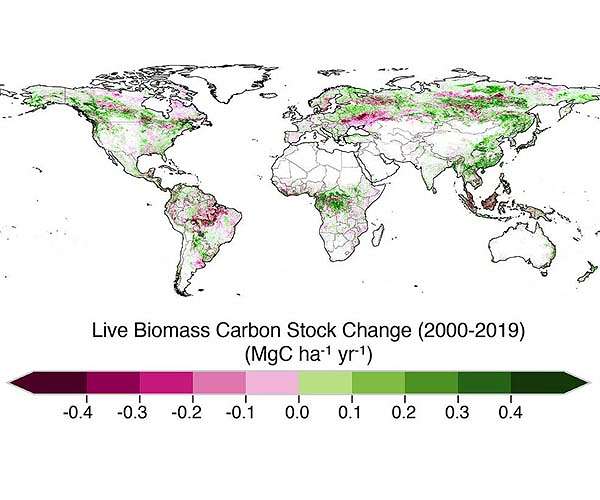 Tree branches to fleece jackets: Chemicals plant in Germany bets on biomass