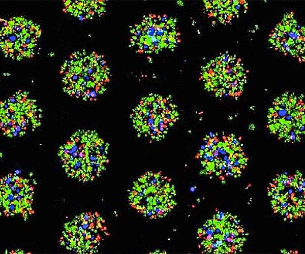 Space travel can adversely impact energy production in a cell