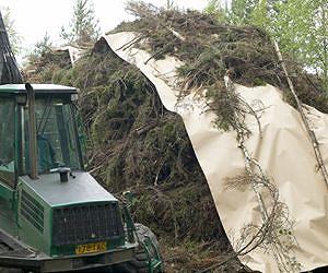 Obey optimises bioenergy yield