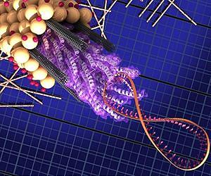 ASU researchers propose new way to look at the dawn of life