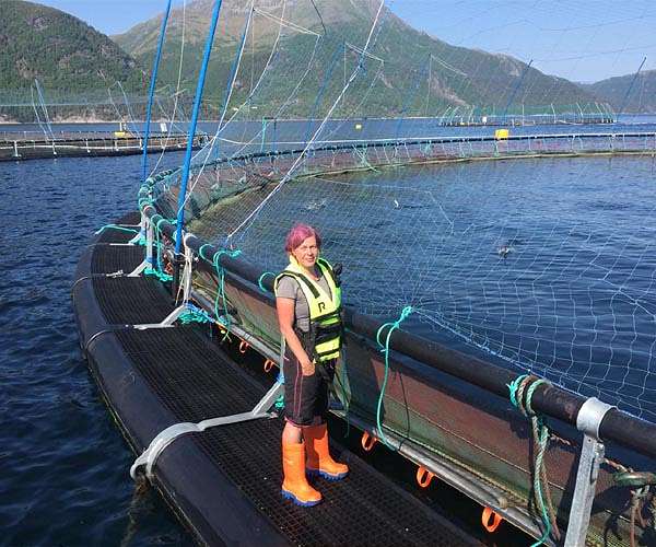 Australian lawmaker shocks senate with dead salmon stunt