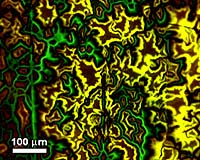 Strain Has Major Effect On High-Temp Superconductors