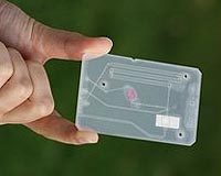 Wallet-Sized Malaria Tests Promise Better Diagnoses