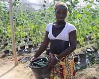 With 30,000 surveys, researchers build the go-to dataset for smallholder farms