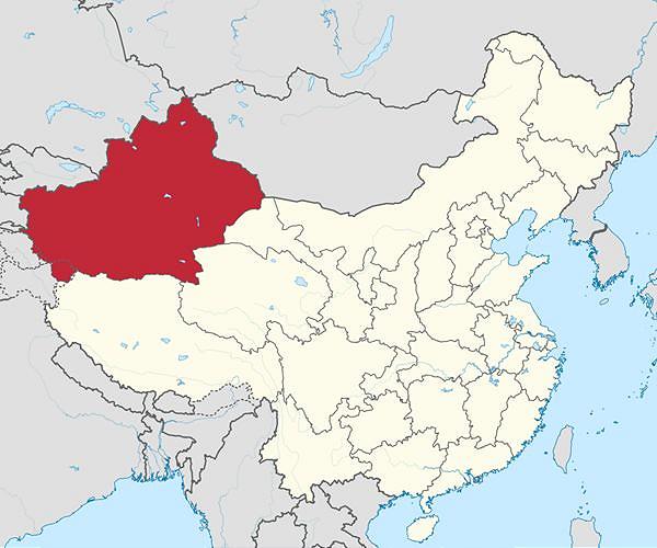 Not clear when Xinjiang report will be published: UN rights chief