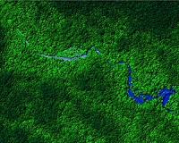 Honduras, Guatemala most dangerous for environmentalists: AI