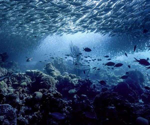 World coming up short on promised marine sanctuaries