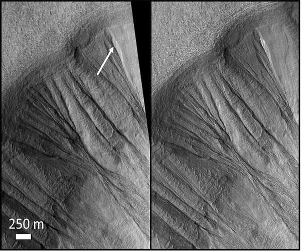 Potential microbial habitats in Martian ice