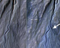 Red Planet's Mystery