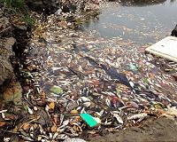 Taiwan steel plant opens in Vietnam after fish deaths
