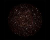 Distant Milky Way-like galaxies reveal star formation history of the universe