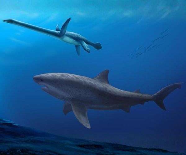 Ancient giant shark fossils reveal early mega-predator dominance in Australian seas