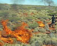 Crucial interaction between fire and mankind explored