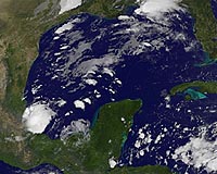 Tropical storm Marco hits Mexico