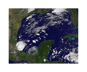 US says 96 percent of Gulf of Mexico open to fishing