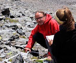 Climate change is altering mountain vegetation at large scale