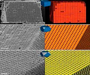 Help Avoid Potential Risks From Rapidly Evolving Nano Tech