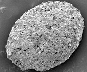 NPL and SUERC calibrate a 'rock clock'