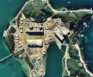 Japan nuclear-free as last reactor switched off