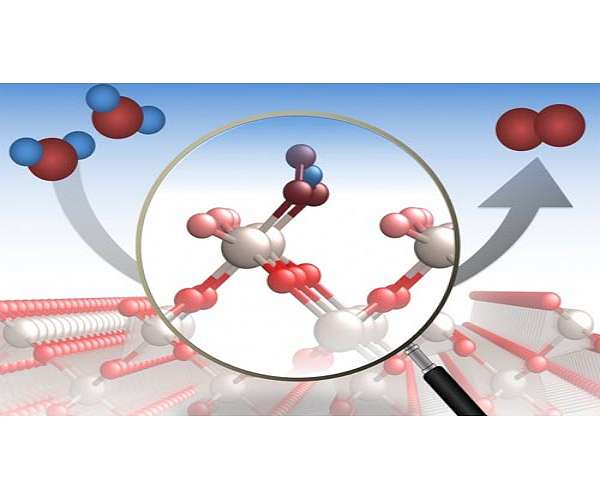 Enhanced solar water splitting achieved with MoS2 GaN nanorod heterostructures