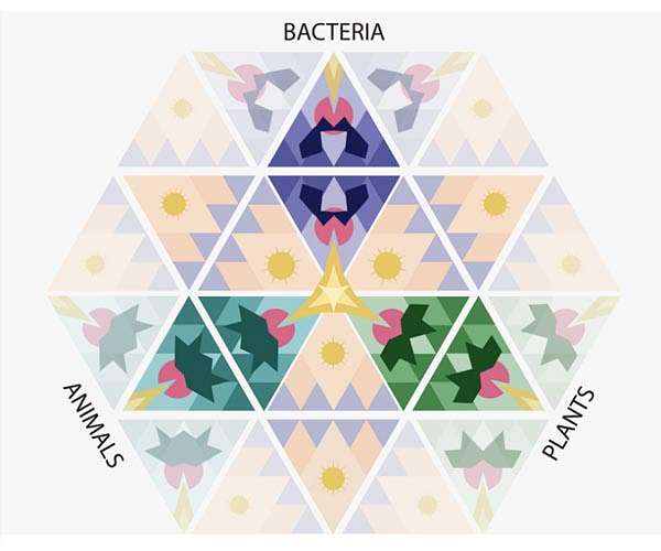 MIT scientists discover new antiviral defense system in bacteria