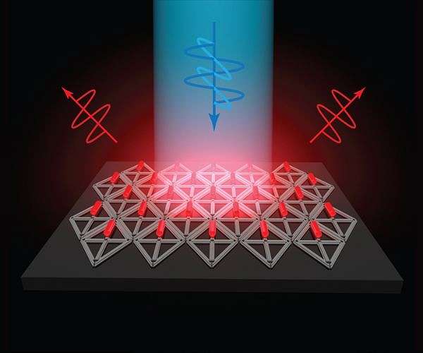 Advancing DNA quantum computing with electric field gradients and nuclear spins