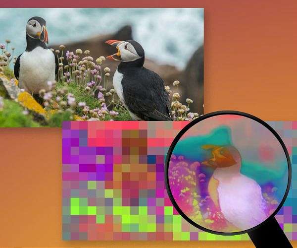 FeatUp: Revolutionizing Computer Vision with High-Resolution Feature Analysis