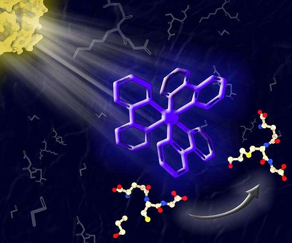 This light-powered catalyst mimics photosynthesis