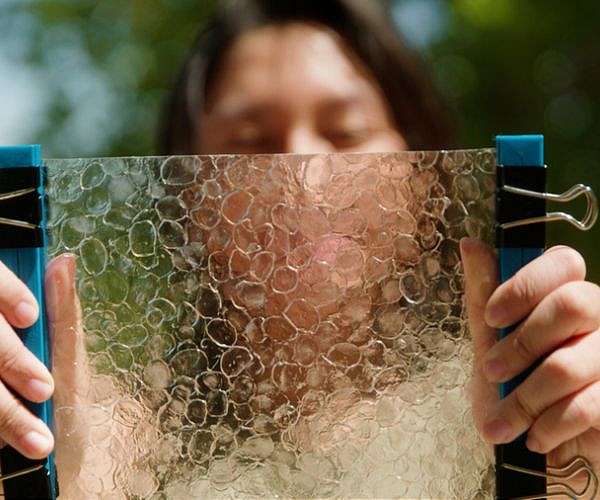 MIT senior turns waste from the fishing industry into biodegradable plastic