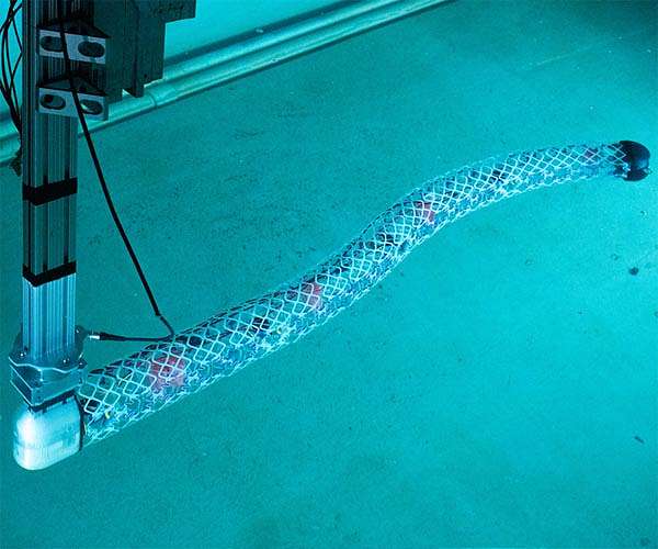 Engineers devise a modular system to produce efficient, scalable aquabots