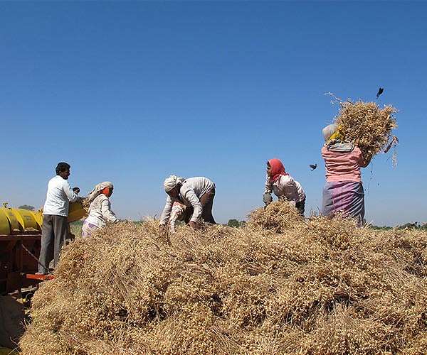 Tripling the US Bioeconomy: The Billion-Ton Report's Blueprint for Sustainable Biomass
