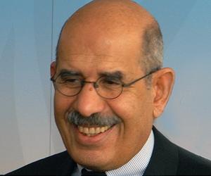 ElBaradei calls for Egypt election boycott: report
