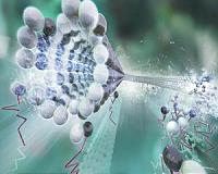 A new way to image surfaces on the nanoscale
