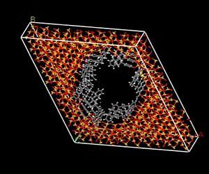 Neutron scattering provides window into surface interactions