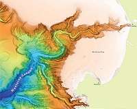 Global analysis of submarine canyons may shed light on Martian landscapes