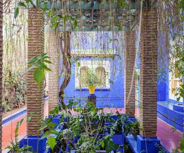 Morocco gardening school cultivates hope for marginalised youth