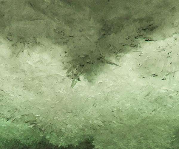 Underwater snow gives clues about Europa's icy shell