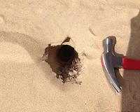 Rotting oaks lead to hazardous voids in Indiana's Mount Baldy sand dune