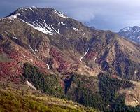 Topography shapes mountain biodiversity
