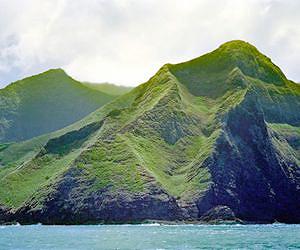 Forest refuse indirectly feeding bottom fish in the submarine canyons off Moloka'i