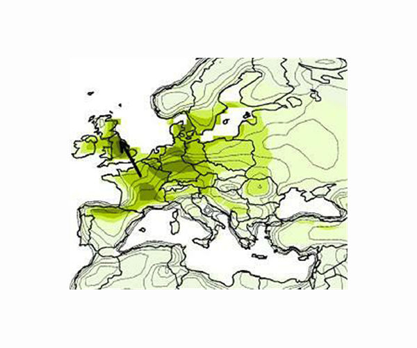 MEPs vote down key part of EU climate plan