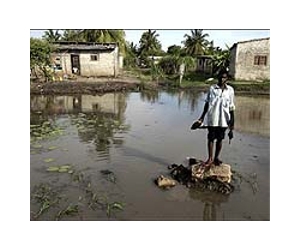 Mozambique floods kill 2, destroy homes