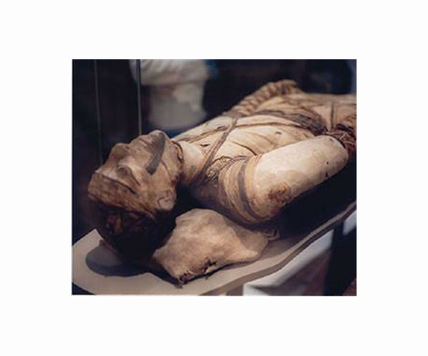 Fired IT worker partly shuts down British Museum