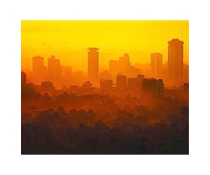 Nairobi criminals dump old ways and go organic
