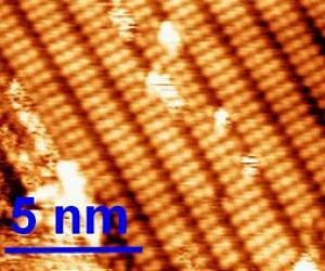 Polymer Behaviors Below The 1 Nanometer Level