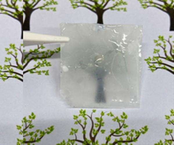 Nanocellulose infused with red onion extract shields solar cells from UV degradation