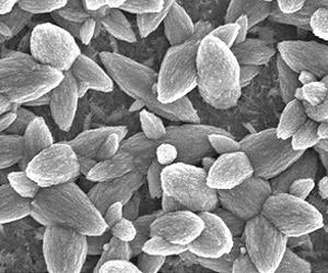 Nano-coating doubles rate of heat transfer