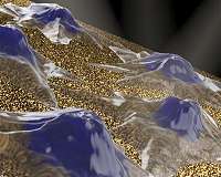 Nanomushroom sensors: One material, many applications